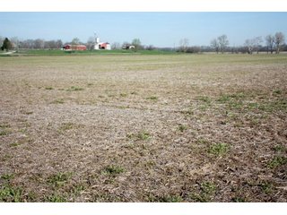 Property photo 10 - REAL ESTATE AUCTION - 486+/- ACRES OFFERED IN 9 TRACTS IN MORGAN & MARION COUNTIES, INDIANA